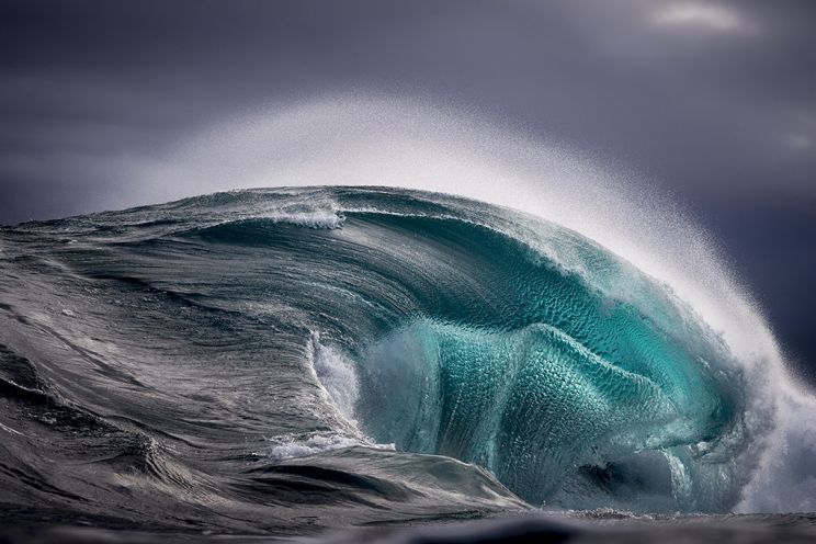 Ray Collins