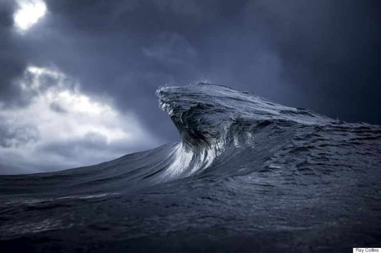 Ray Collins