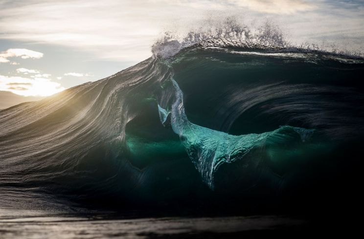 Ray Collins