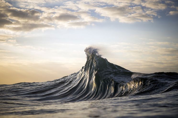 Ray Collins