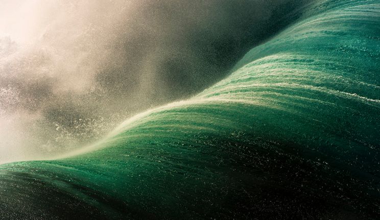 Ray Collins