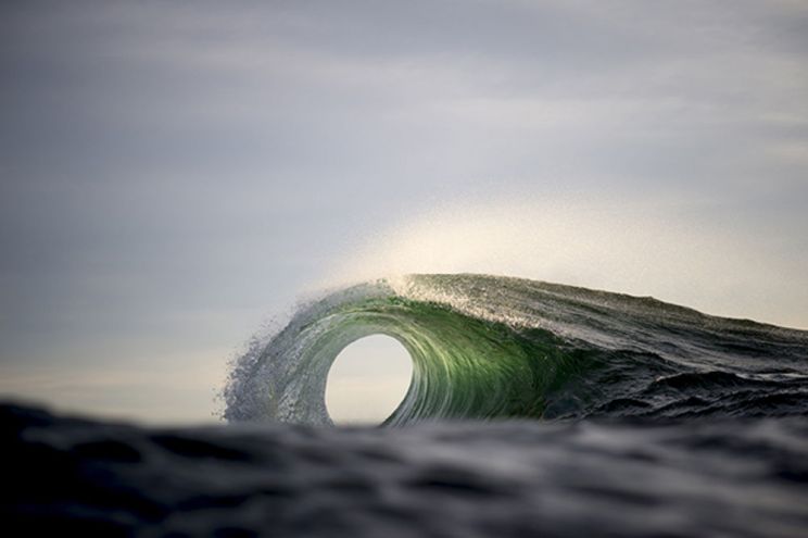 Ray Collins