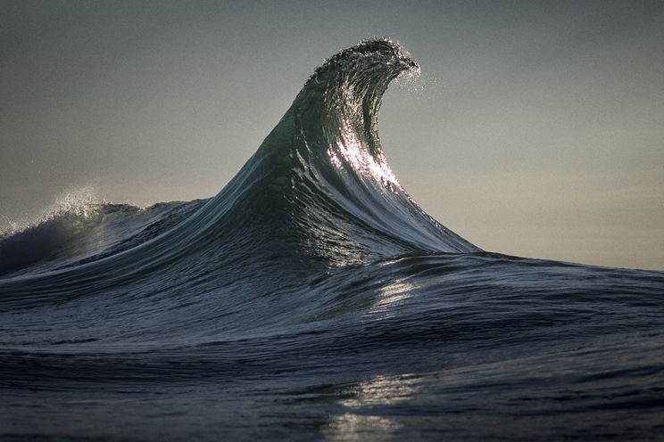 Ray Collins