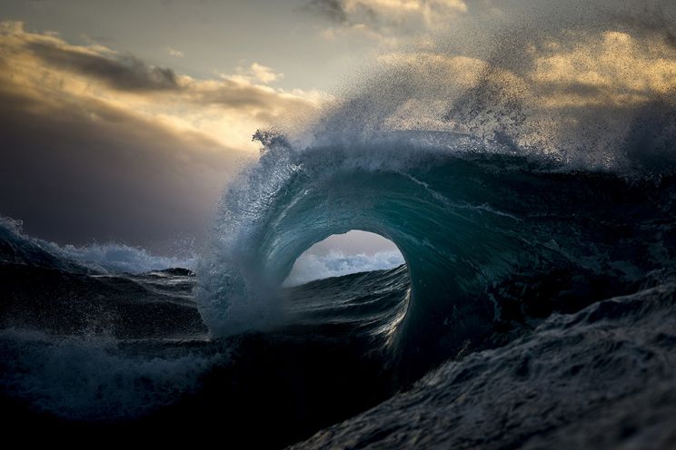 Ray Collins