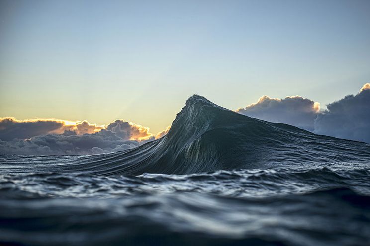 Ray Collins