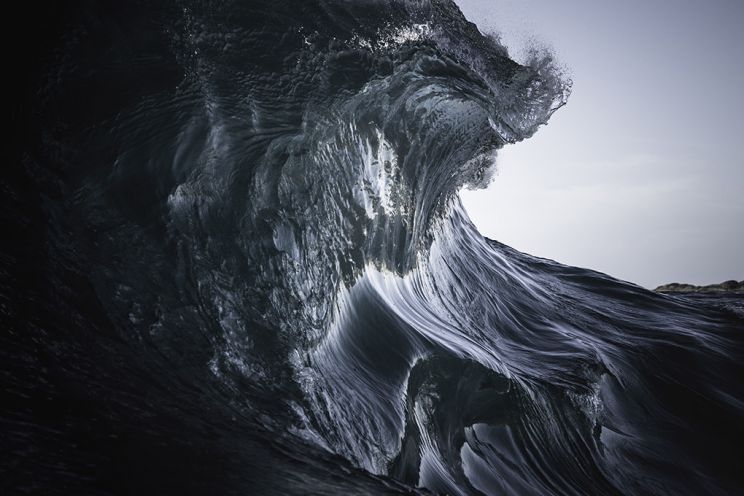 Ray Collins