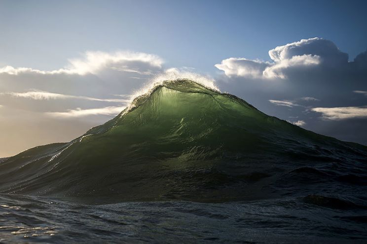 Ray Collins