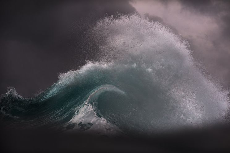 Ray Collins