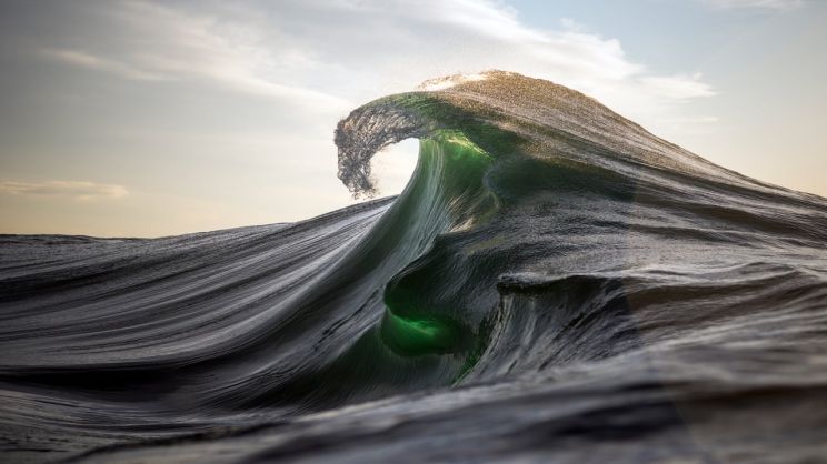 Ray Collins