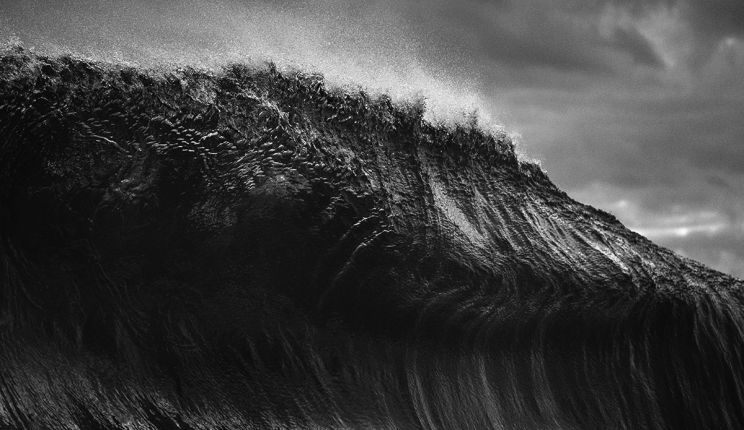 Ray Collins