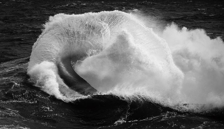 Ray Collins