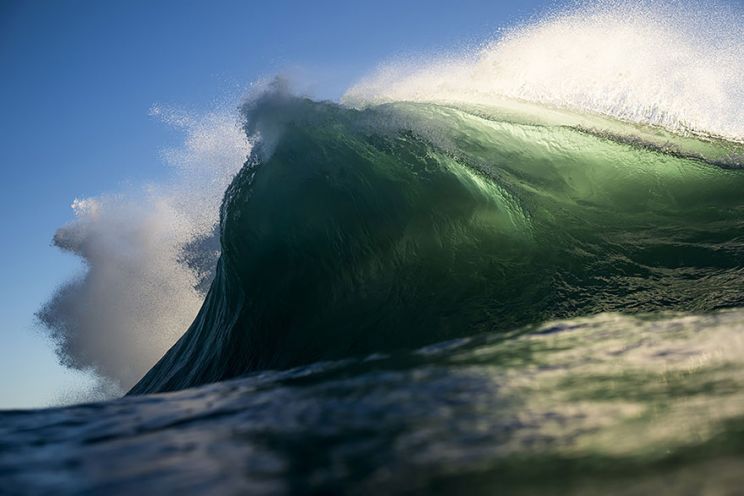 Ray Collins