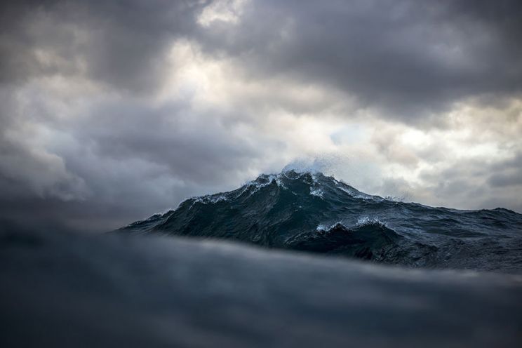 Ray Collins