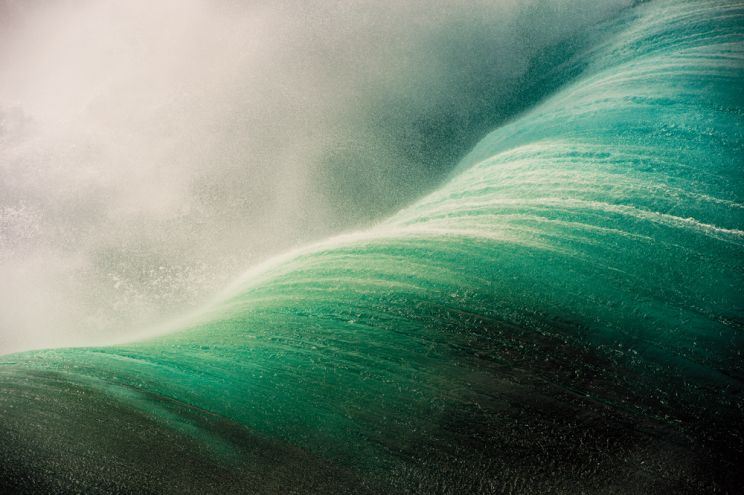 Ray Collins