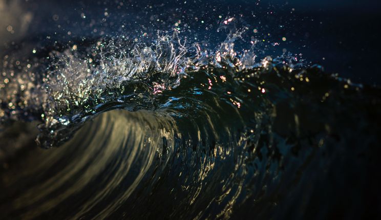 Ray Collins