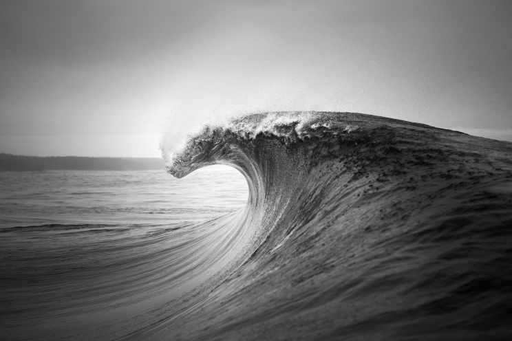 Ray Collins