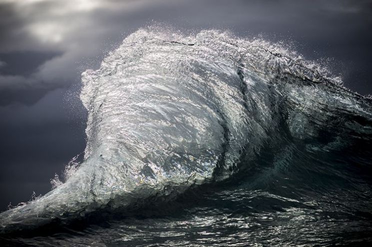 Ray Collins