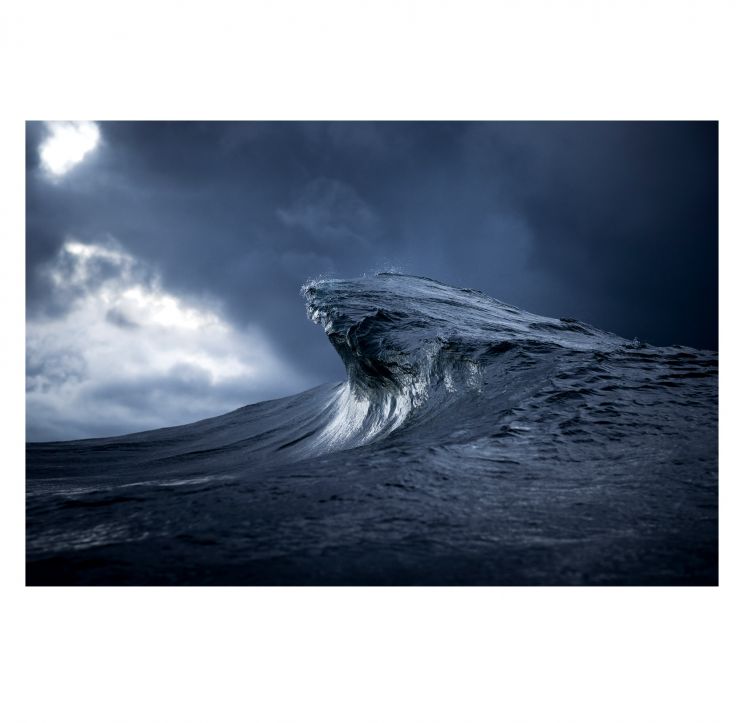 Ray Collins