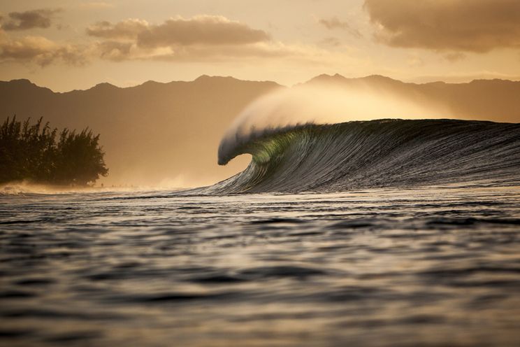 Ray Collins