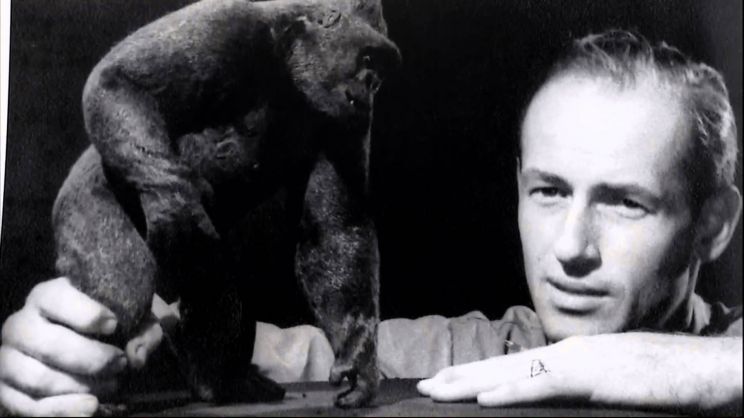 Ray Harryhausen