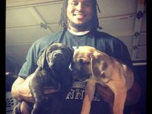 Ray McDonald