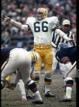 Ray Nitschke