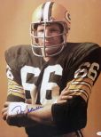 Ray Nitschke