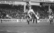 Ray Stewart