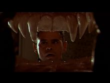 Raymond Cruz