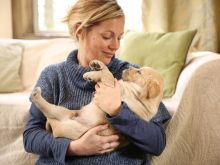 Rebecca Callard