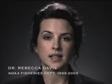 Rebecca Davis