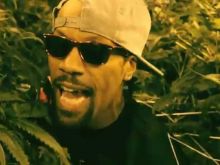 Redman