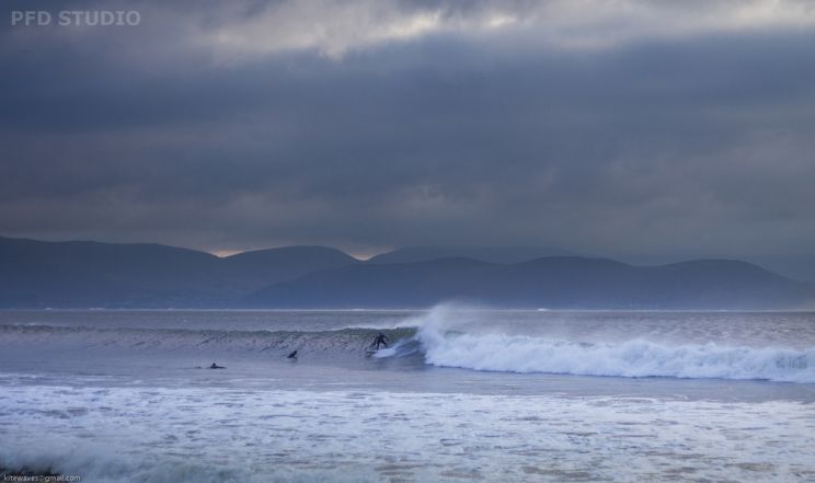 Reef Ireland