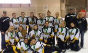 Regina Ice