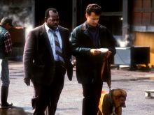 Reginald VelJohnson