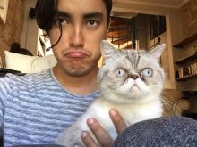 Remy Hii