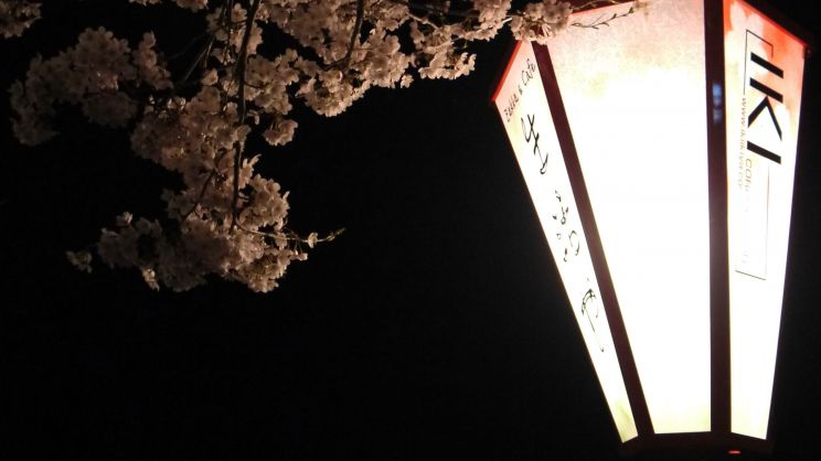 Ren Hanami