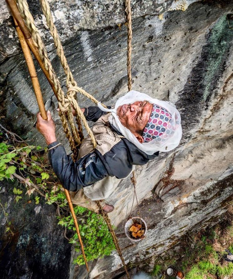 Renan Ozturk