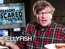Rhys Darby