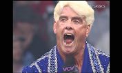 Ric Flair