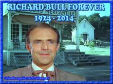 Richard Bull