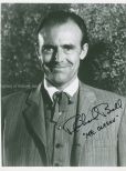 Richard Bull