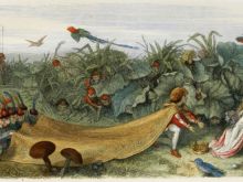 Richard Doyle