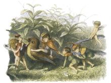 Richard Doyle