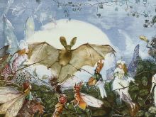 Richard Doyle
