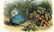 Richard Doyle