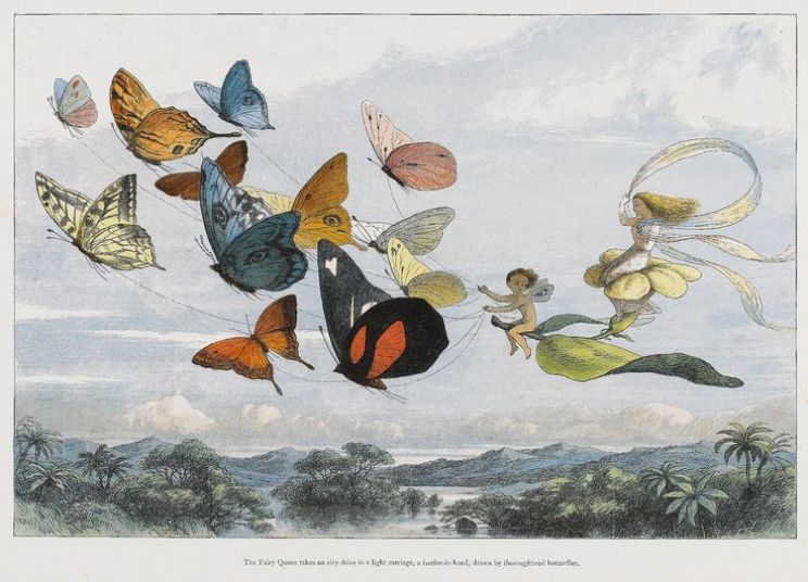 Richard Doyle