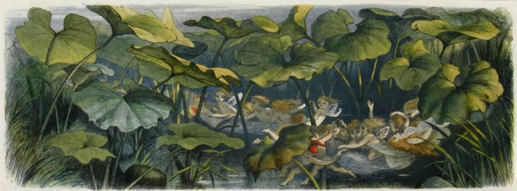 Richard Doyle