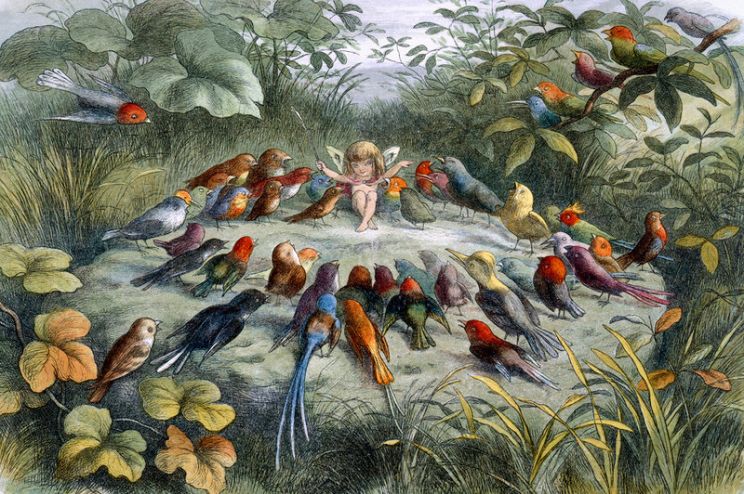 Richard Doyle