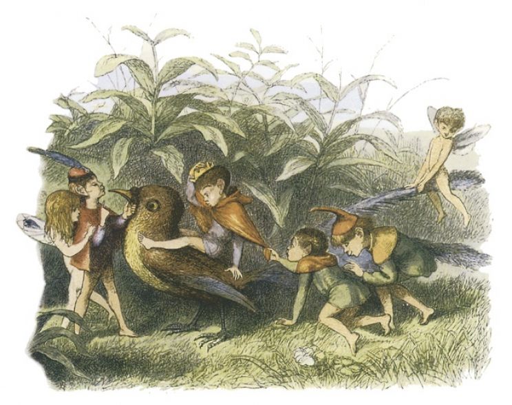 Richard Doyle